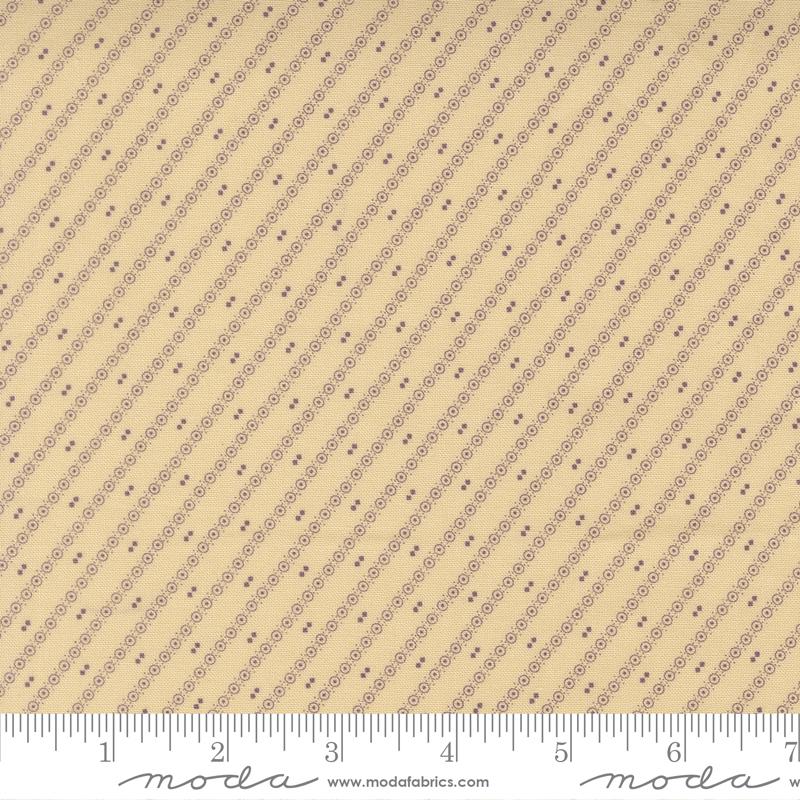 Moth Vanilla Bean - 2777 22 • Wild Orchid