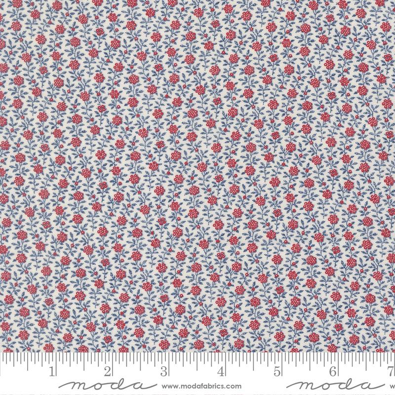 Cloud - 49326 11 • American Gatherings III