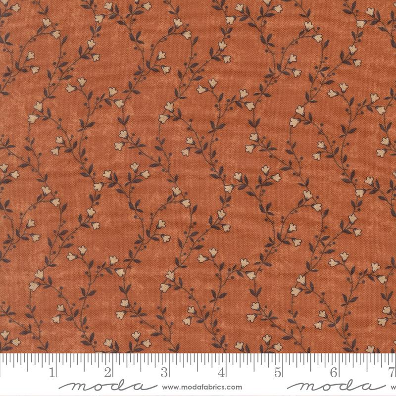 Pumpkin - 9831 17 • Quail Run by Kansas Troubles