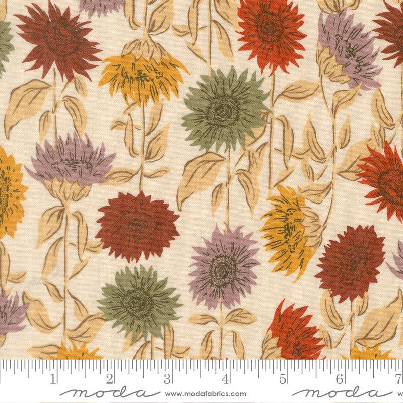 Eggshell - 45651 11 • Windfall by Fancy That Design House