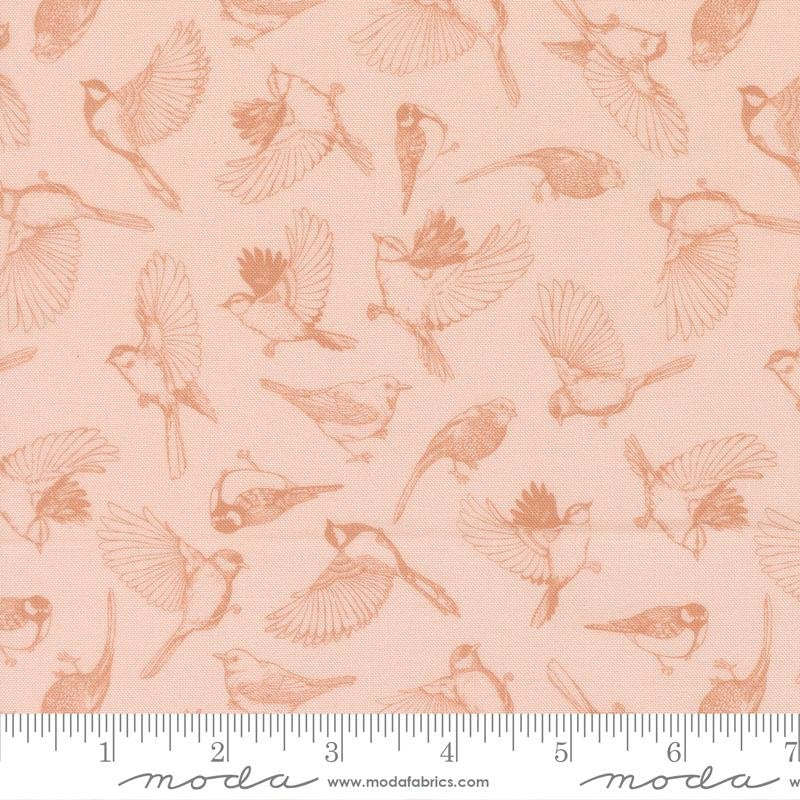 Petal - 14143 12 • Feather and Forest Bloom