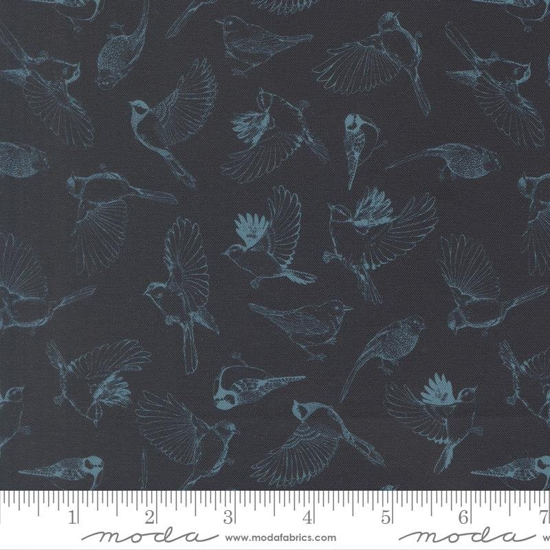 Midnight - 14143 19 • Feather and Forest Bloom