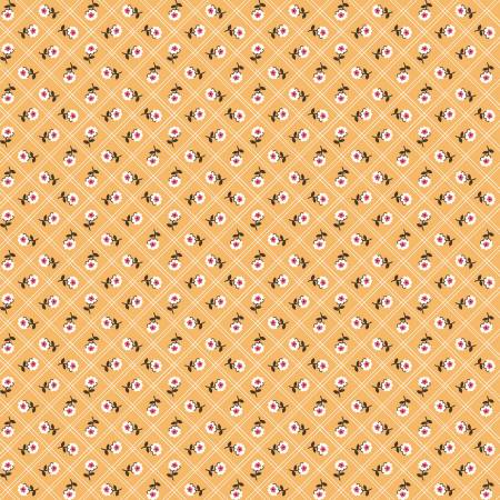 Rose Daisy - C12303 • Prairie