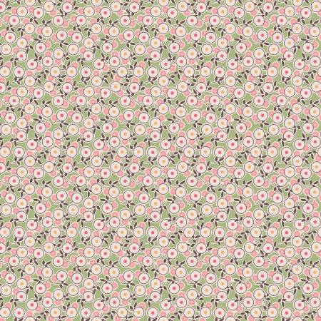 Legacy Lettuce • C14384 • Mercantile