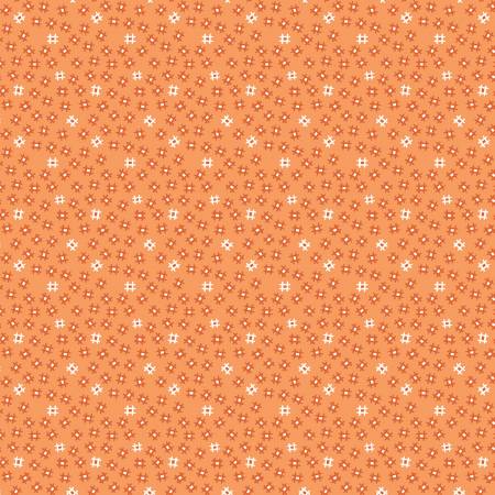 Small Churndash Melon - C9695 • Prim