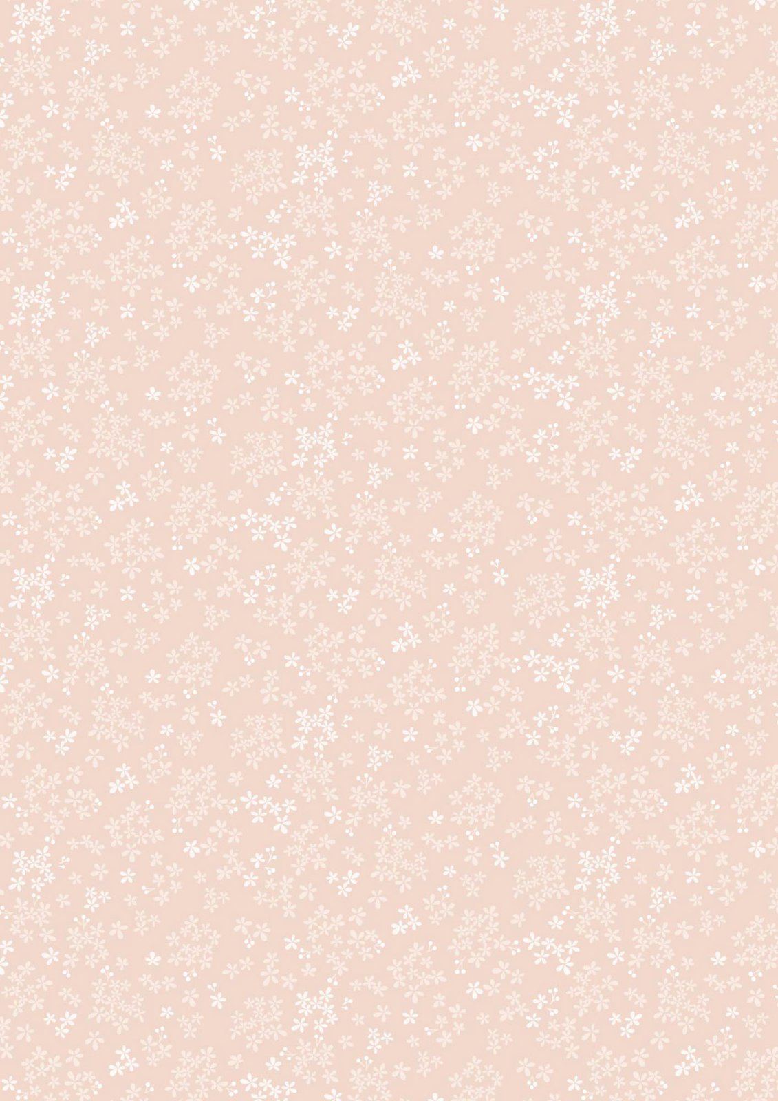 Wintersweet - Pale Peach • Sky Garden by Cassandra Connolly