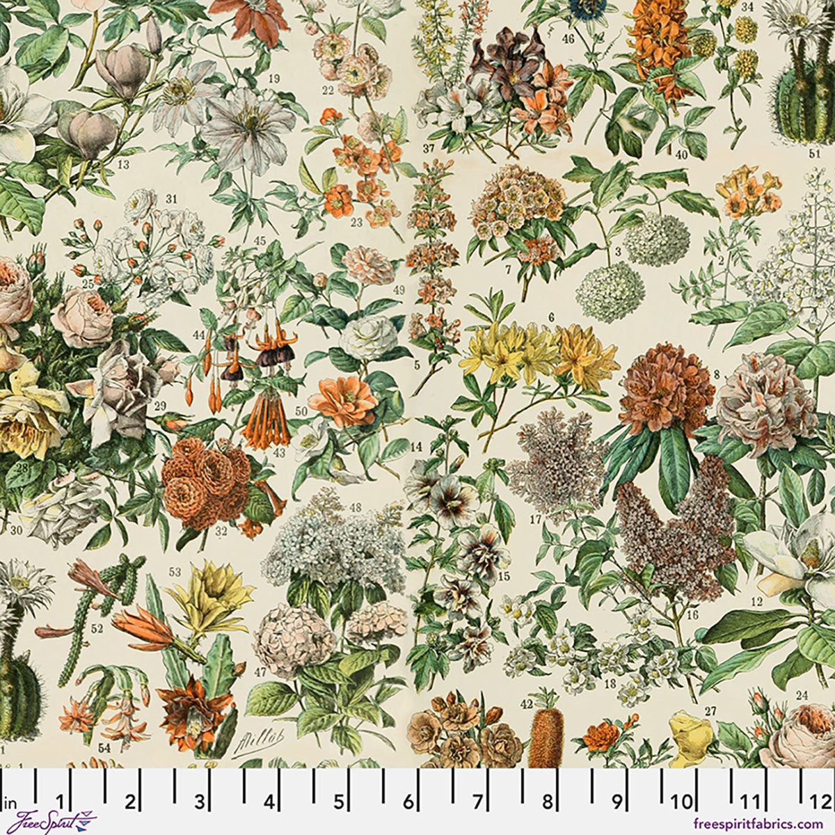Botanical - Orange • Palette Canvas Cloth