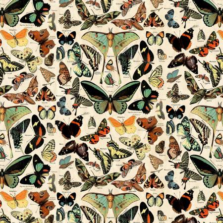 Butterflies - Teal • Palette Canvas Cloth