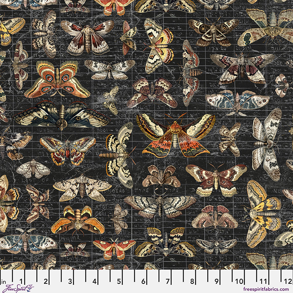 Halloween Moth Study - Canvas • Palette Seasonal Tim Holtz