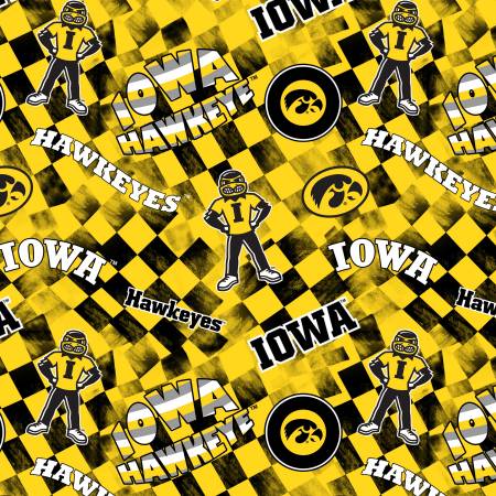 Iowa Check • Skytel