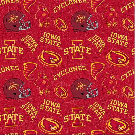 NCAA Iowas State Tone on Tone • Skytel Enterprises