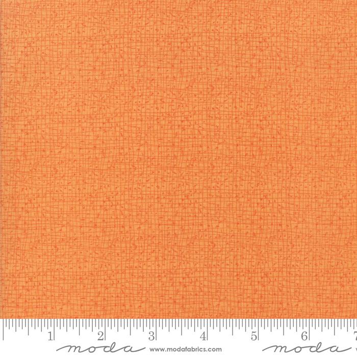 Thatched Citrus - 48626 123 • Robin Pickens for Moda