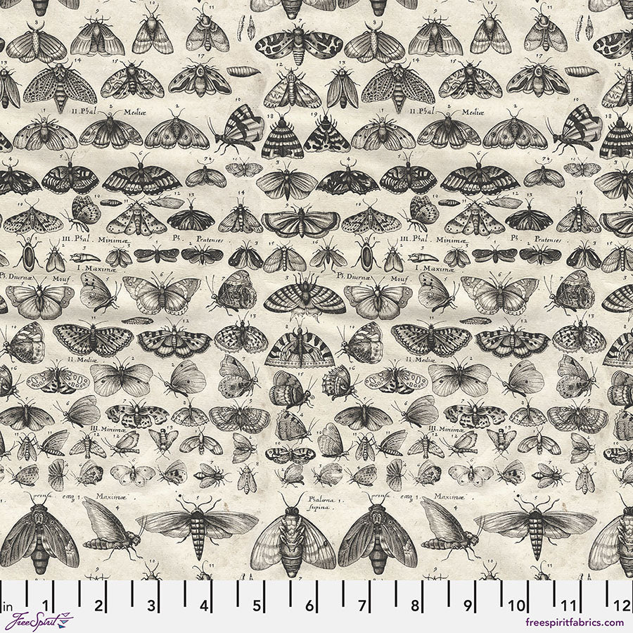 Charcoal Moths - Charcoal • Tim Holtz Palette Charcoal