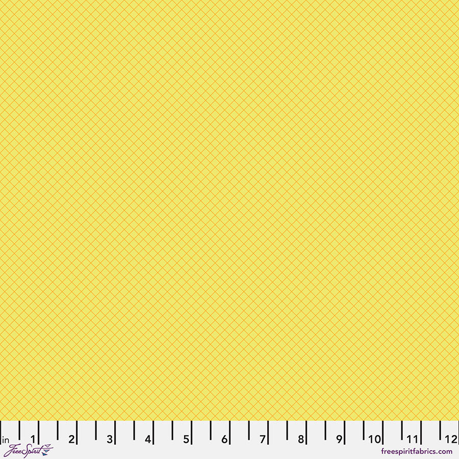 On the Grid - Highlighter • Tula Pink True Colors