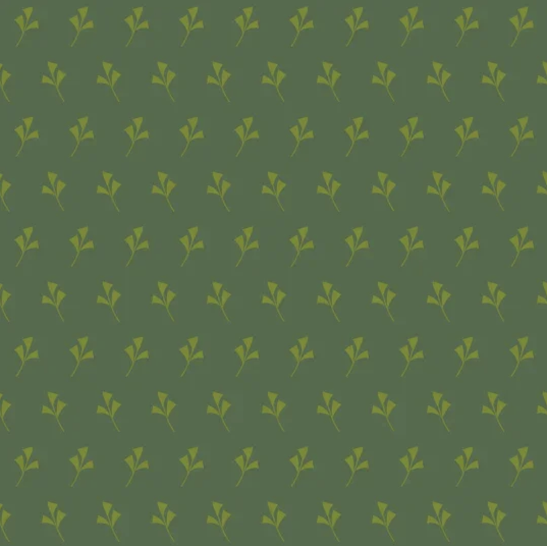 Ginkgo - Pine ON2403-02 • Of Old and New