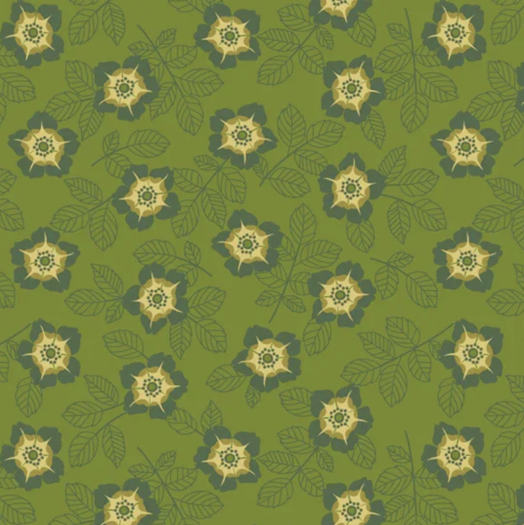 Buttercup - Forest Green ON2401-02 • Of Old and New