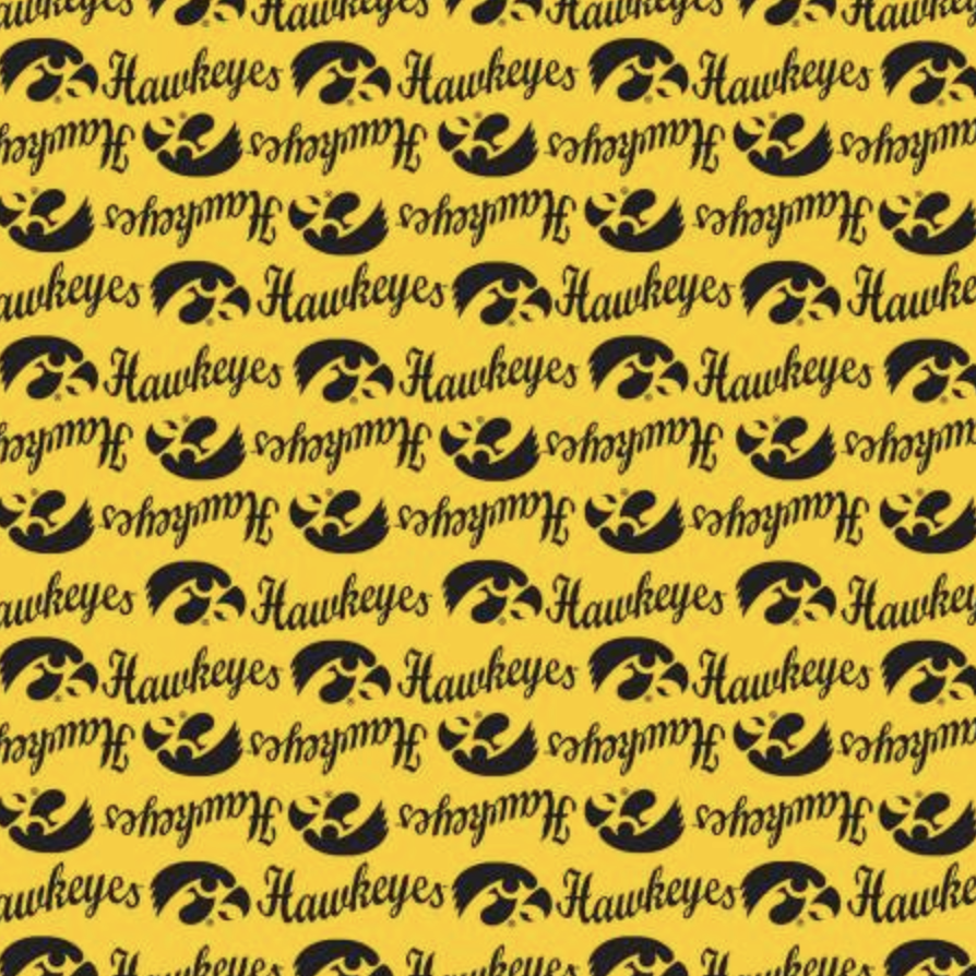 NCAA-Iowa Mini Packed Logo • Skytel